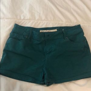 Teal coloured shorts